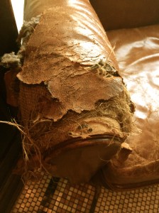 A busted horsehair sofa