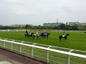 Auteuil races ... note the Tour Eiffel in the background - the view from the top of the grandstand is stunning.