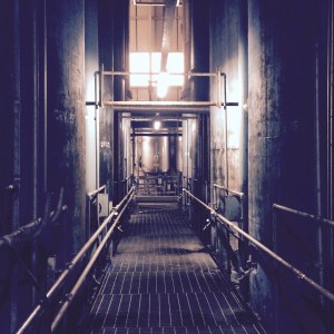 Inside a cathedral of beer at Shepherd Neame